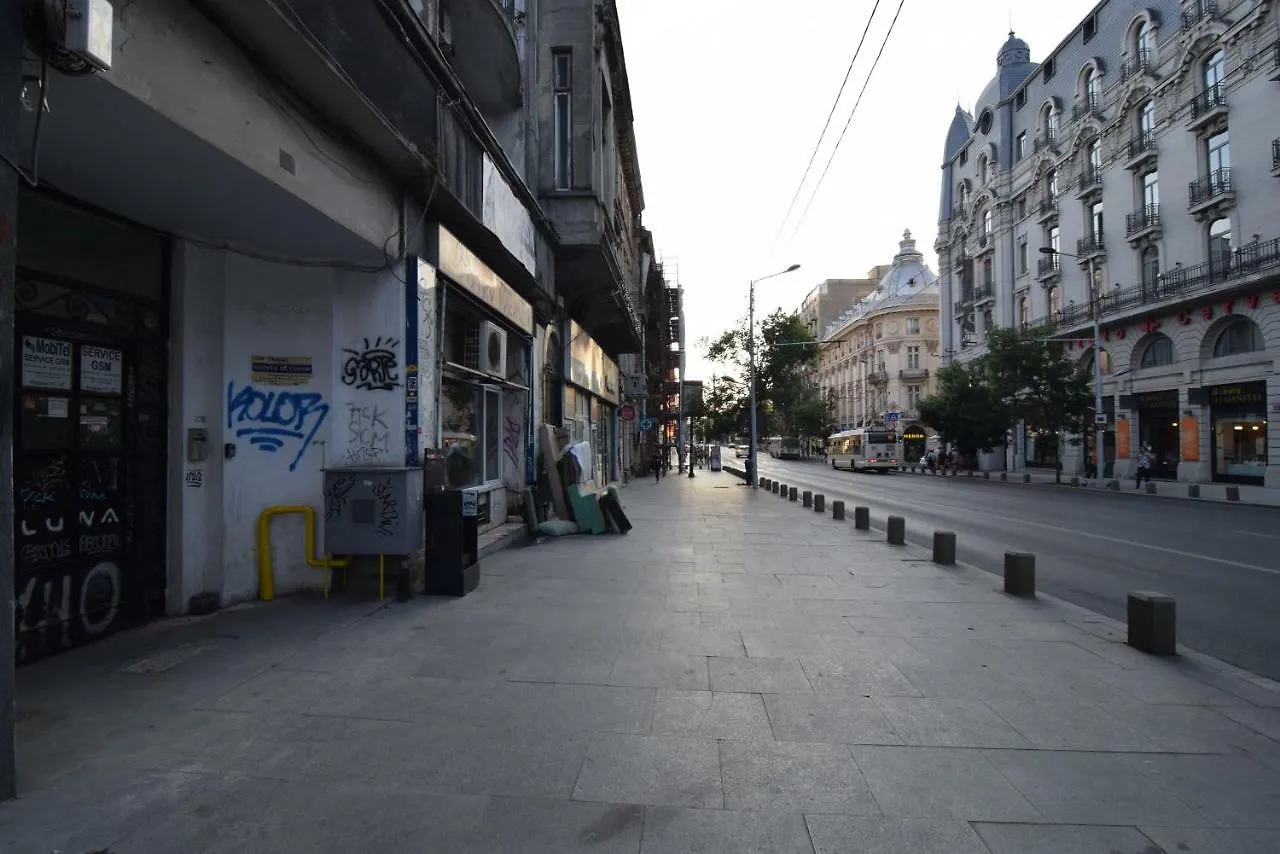 Resedinta Lui Calin - Downtown Park Cismigiu Apartment Bucharest 0*,